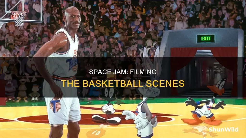 how did they film the basketball scenes in space jam