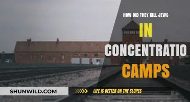 Methods of Genocide: How Nazis Executed Jews in Concentration Camps