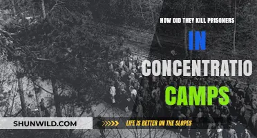 Methods of Execution in Concentration Camps: A Dark Historical Overview