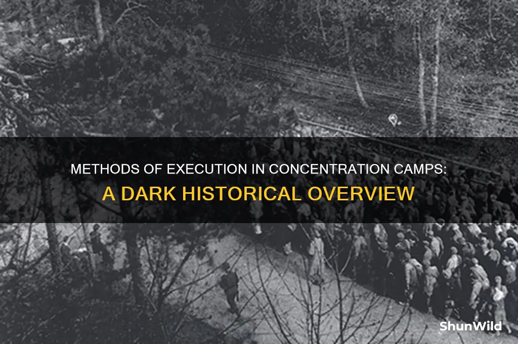 how did they kill prisoners in concentration camps