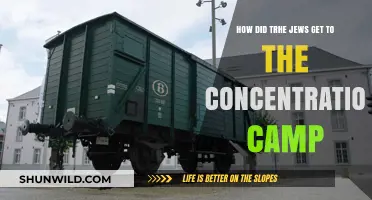 The Forced Journey: How Jews Were Transported to Concentration Camps