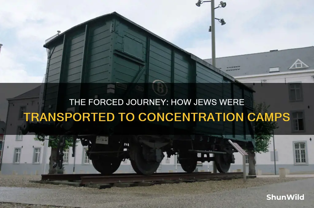 how did trhe jews get to the concentration camp