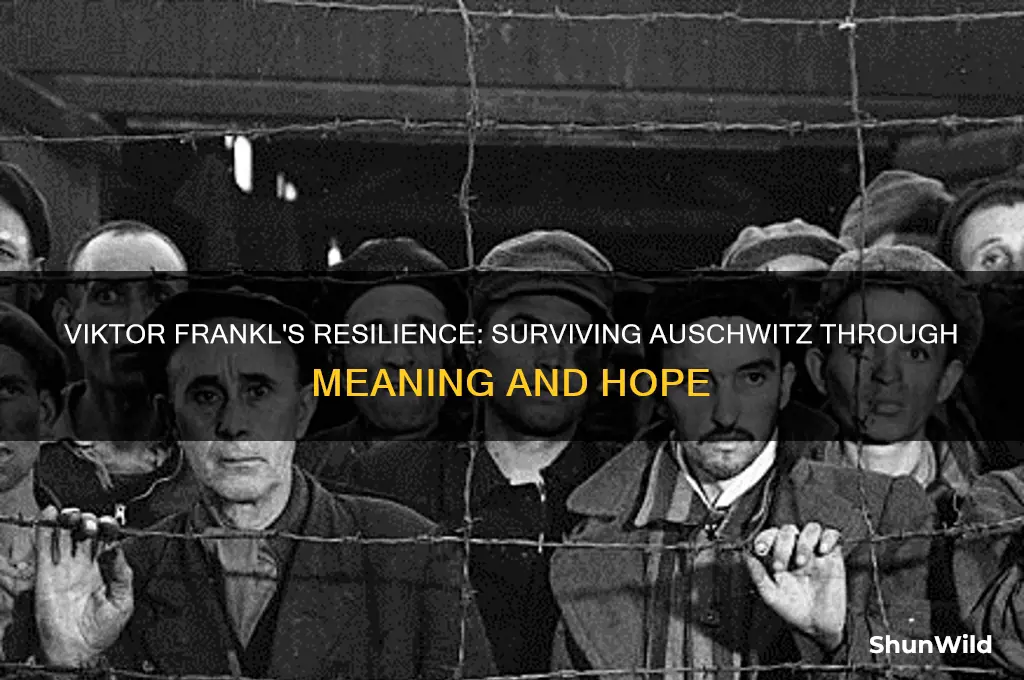 how did viktor frankl survive in the concentration camp