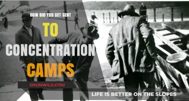 From Persecution to Camps: Understanding the Path to Concentration Camps