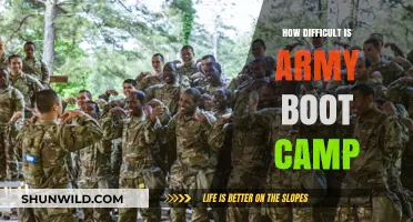 Army Boot Camp: Unveiling the Physical and Mental Challenges Within