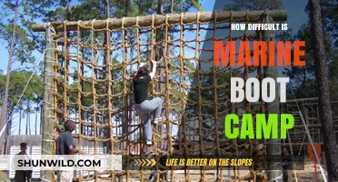 Surviving Marine Boot Camp: Unveiling the Physical and Mental Challenges