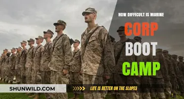 Surviving Marine Corps Boot Camp: Challenges, Trials, and Triumphs