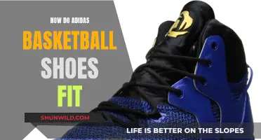 Adidas Basketball Shoes: Sizing and Fit Guide