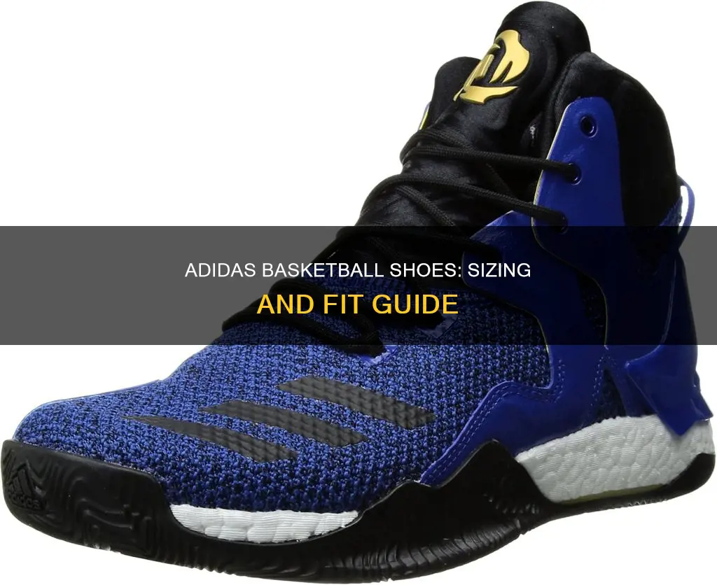 how do adidas basketball shoes fit