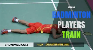 Training Secrets of Badminton Pros