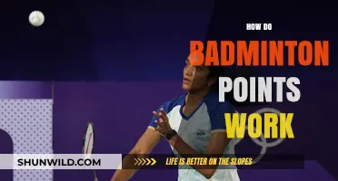 Understanding Badminton Scoring: Points and Victory