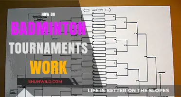 Understanding Badminton Tournament Structure