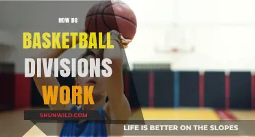 Understanding Basketball Divisions: How Do They Work?