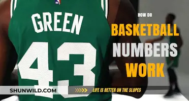 Understanding Basketball Numbers: A Guide to the Game's Stats