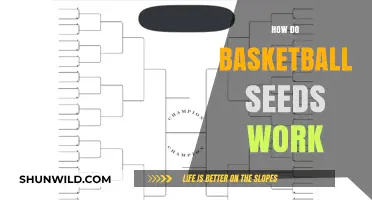 Understanding Basketball Seeds: A Guide to Tournament Rankings