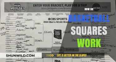 Understanding Basketball Squares: A Guide to Playing and Winning