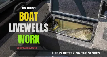 Bass Boat Livewells: Functionality and Maintenance Guide