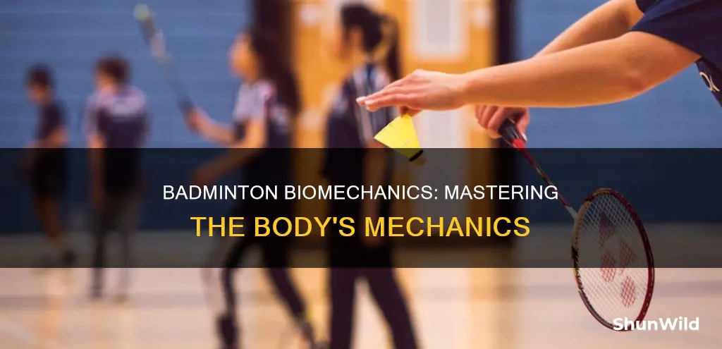 how do biomechanics relate to badminton