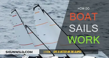 Understanding Boat Sails: Wind Power and Propulsion Explained