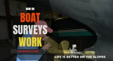 Boat Surveys: Understanding the Process and Importance