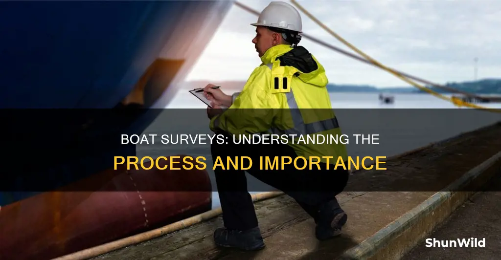 how do boat surveys work