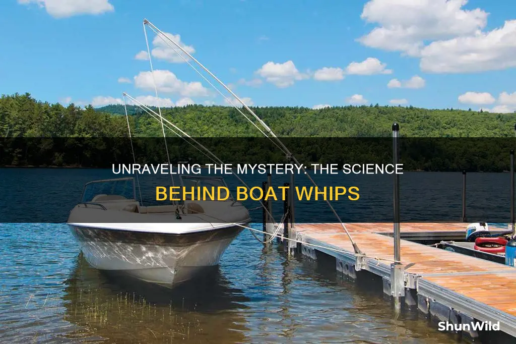 how do boat whips work