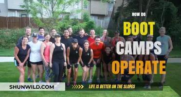 Unveiling Boot Camp Operations: Structure, Training, and Daily Life Explained