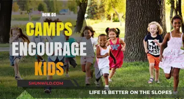 Summer Camps: Fostering Growth, Confidence, and Fun for Kids