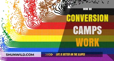 Understanding Conversion Camps: Methods, Impact, and Ethical Concerns Explained