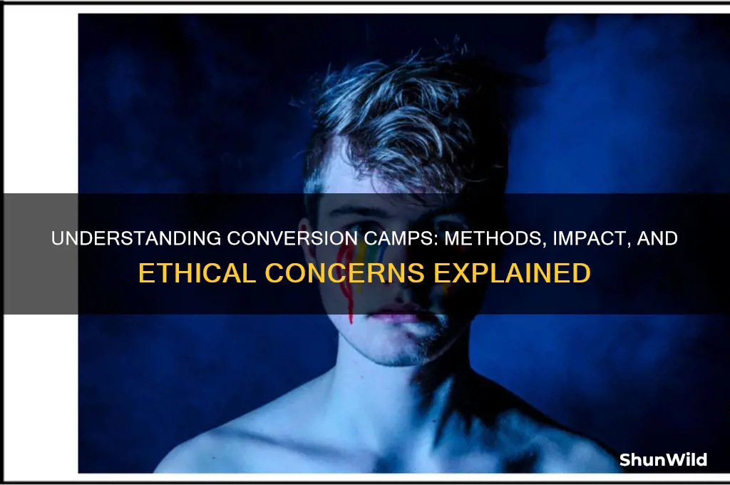 how do conversion camps work