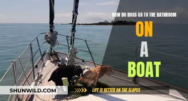 Potty Training Your Pup: Boat Bathroom Breaks