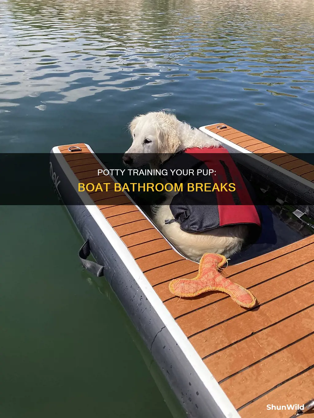 how do dogs go to the bathroom on a boat