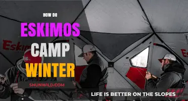Surviving Arctic Winters: Traditional Eskimo Camping Techniques and Adaptations