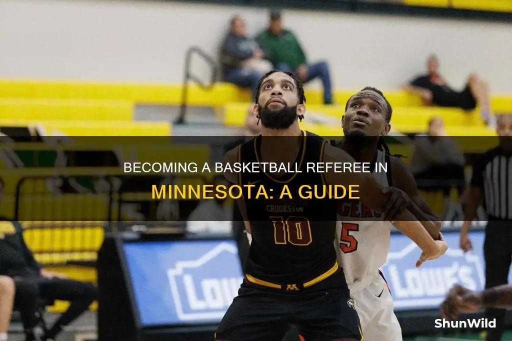 how do i become a basketball referee in minnesota