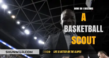 The Path to Becoming a Basketball Scout