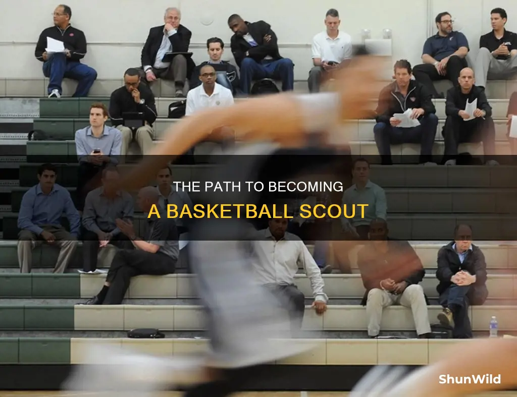 how do i become a basketball scout