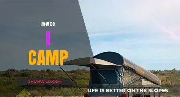 Essential Camping Tips: Your Ultimate Guide to Outdoor Adventures