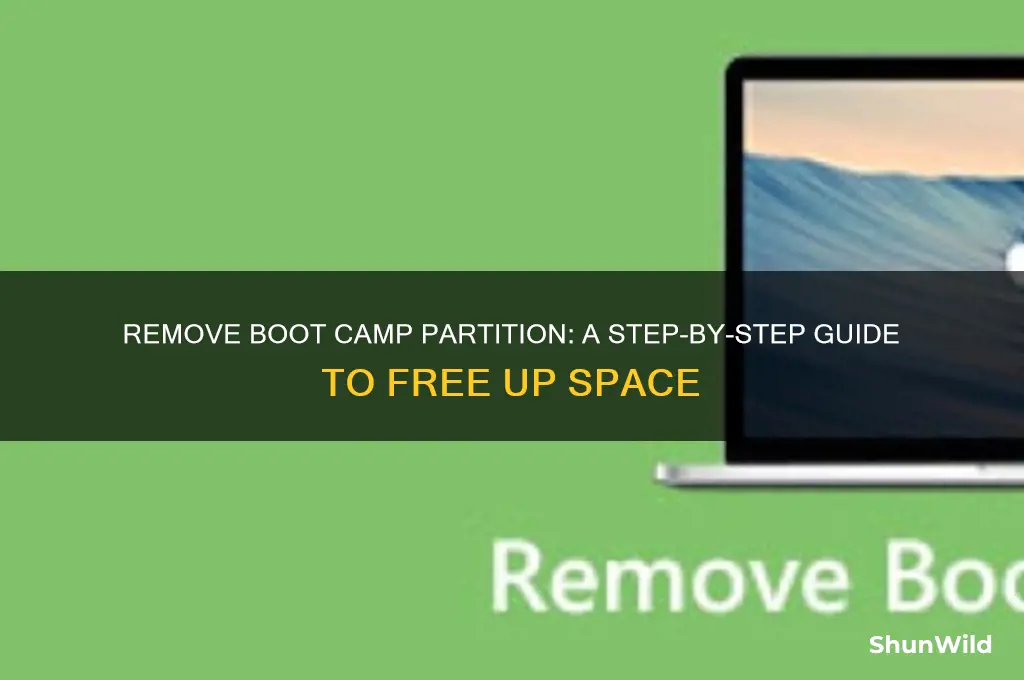 how do i get rid of boot camp partition