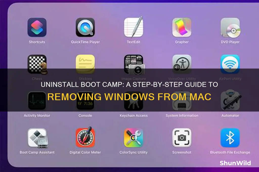 how do i get rid of boot camp