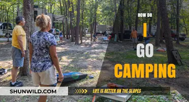 Essential Camping Tips: Your Ultimate Guide to a Perfect Outdoor Adventure