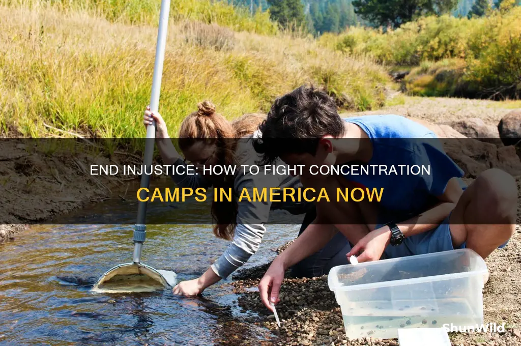 how do i help stop concentration camps in america