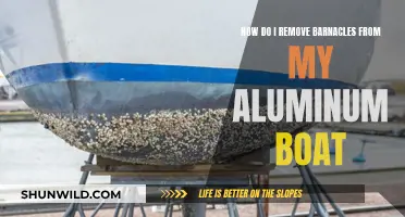 Removing Barnacles from an Aluminum Boat: Effective Strategies