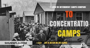 Internment vs. Concentration Camps: Key Differences and Historical Context
