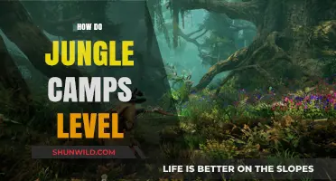 Jungle Camp Leveling Strategies: Boosting Efficiency and Growth in the Wild