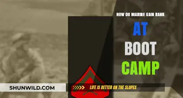 Earning Stripes: The Journey to Marine Corps Rank at Boot Camp