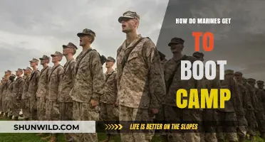 From Recruitment to Boot Camp: A Marine's Journey to Training