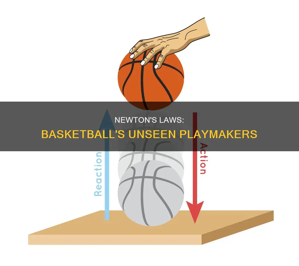 how do newtons laws of motion apply to basketball