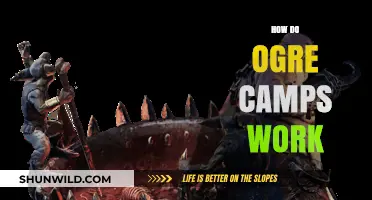 Understanding Ogre Camps: Mechanics, Strategies, and Effective Tactics Explained