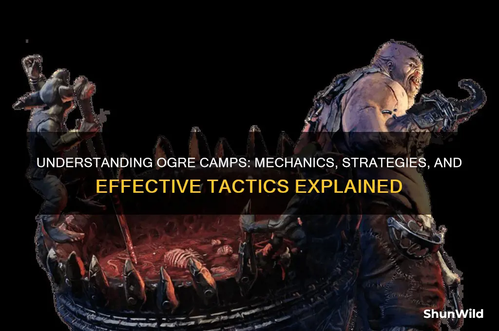 how do ogre camps work