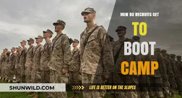 From Enlistment to Boot Camp: A Recruit's Journey Explained